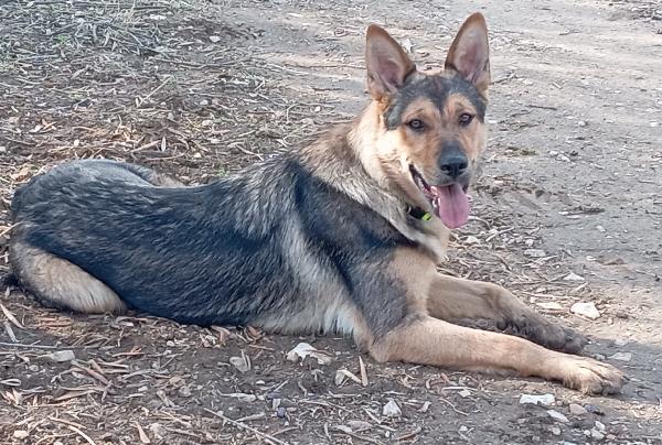 Ninì, affettuosa Foto 4